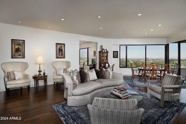 living room with dark wood-type flooring