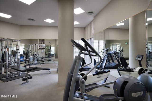 gym featuring a towering ceiling