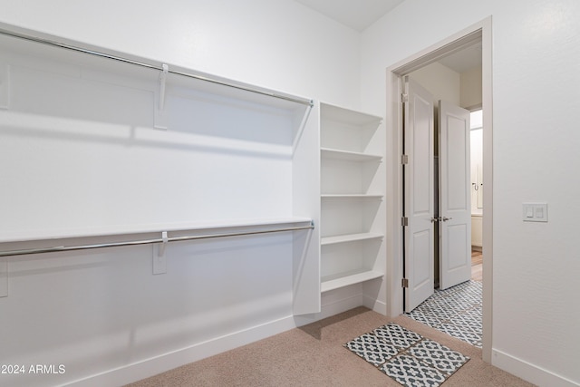 spacious closet with carpet flooring