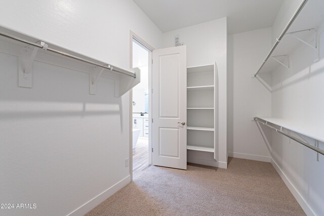 spacious closet featuring light carpet