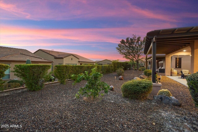 view of yard at dusk