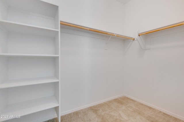 walk in closet featuring light colored carpet