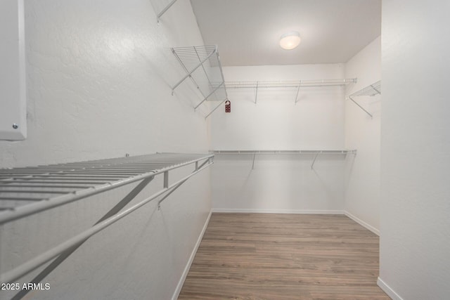 walk in closet featuring wood finished floors