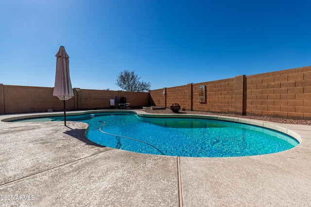 view of swimming pool with a fenced in pool, a fenced backyard, and a patio