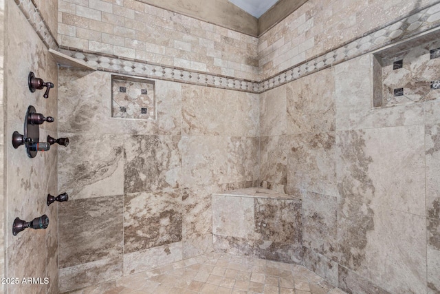 3203 E Ellis St, Mesa, AZ 85213 - interior details featuring tiled shower