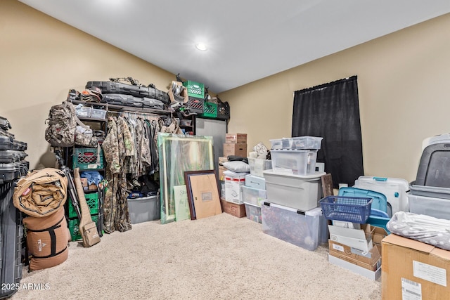 3203 E Ellis St, Mesa, AZ 85213 - view of storage area