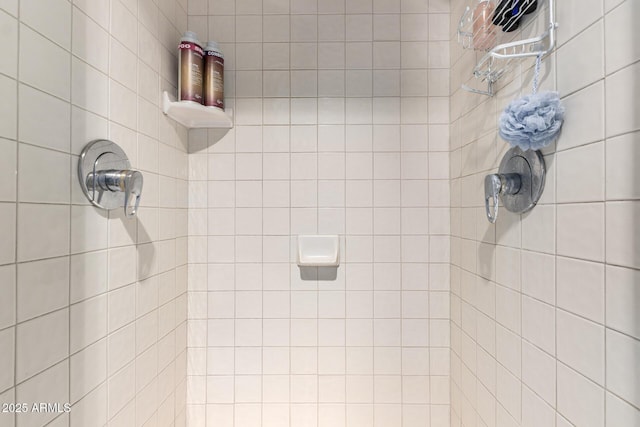 3203 E Ellis St, Mesa, AZ 85213 - full bath featuring a tile shower