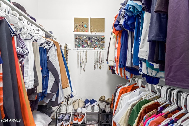 view of spacious closet