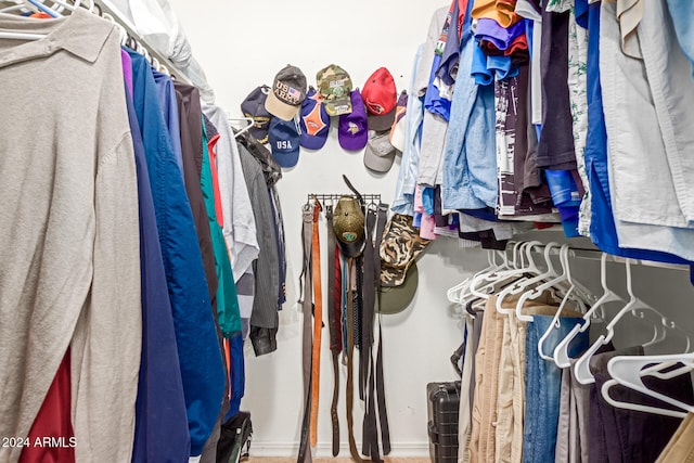 view of walk in closet