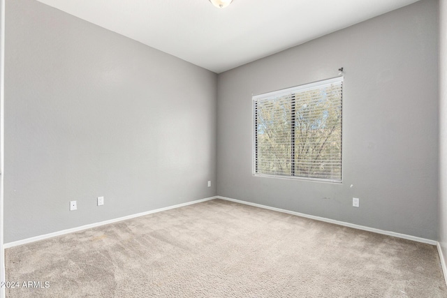 unfurnished room featuring carpet