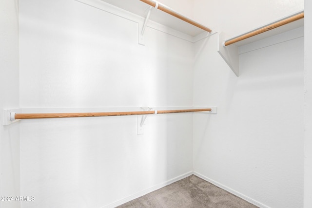 spacious closet with carpet floors