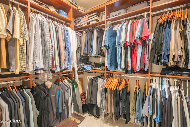 view of spacious closet