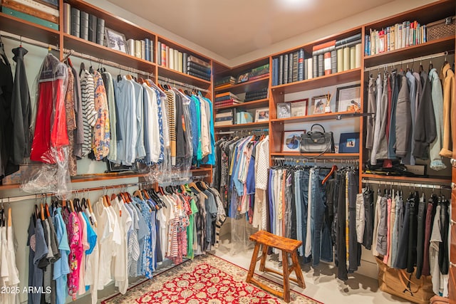 view of spacious closet