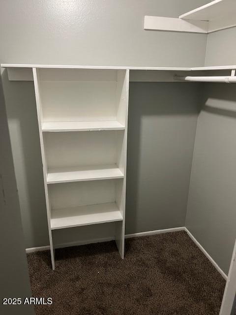 walk in closet with carpet floors