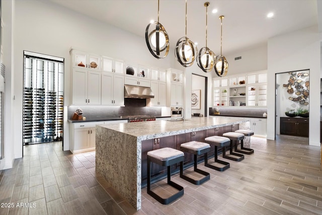 26690 N 119th St, Scottsdale, AZ 85262 - kitchen featuring a towering ceiling, wood tiled floor, tasteful backsplash, and under cabinet range hood