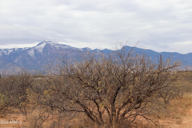 6055 S Kelly Ln Unit 28, Hereford, AZ 85615