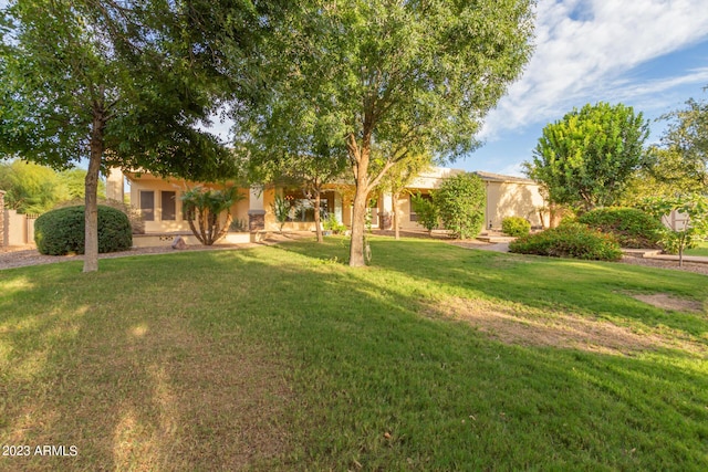 view of front of house featuring a front lawn and stucco siding