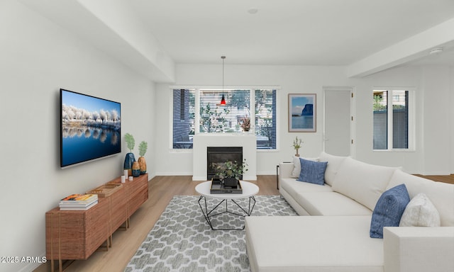 living room featuring hardwood / wood-style floors