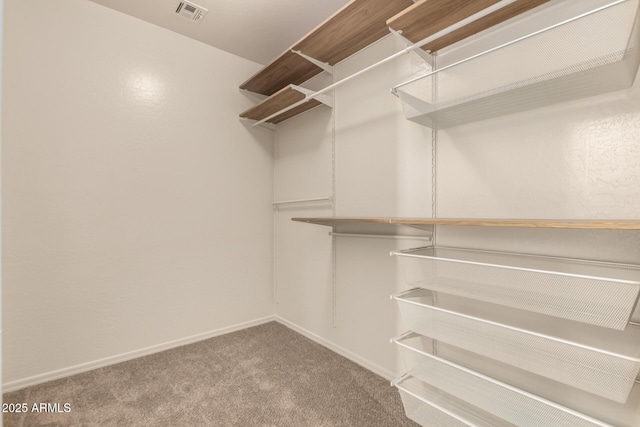 walk in closet featuring carpet flooring