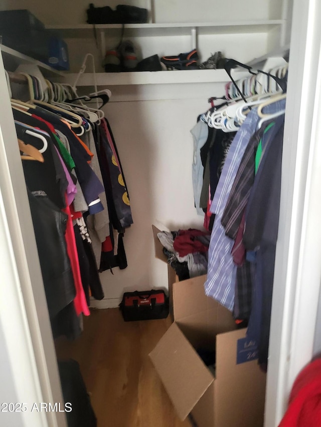 walk in closet featuring wood-type flooring