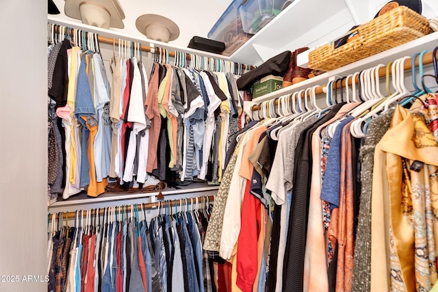 view of walk in closet