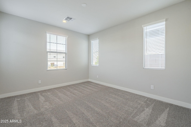 unfurnished room with carpet flooring and plenty of natural light