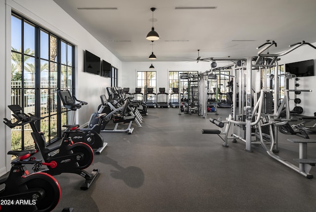 exercise room featuring plenty of natural light and ceiling fan