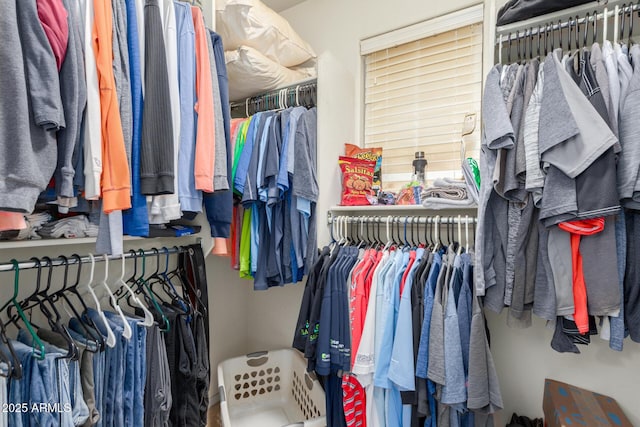 view of spacious closet