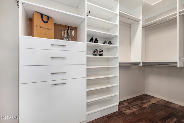 2554 E Honeysuckle Pl, Chandler, AZ 85286 - walk in closet with dark wood-type flooring