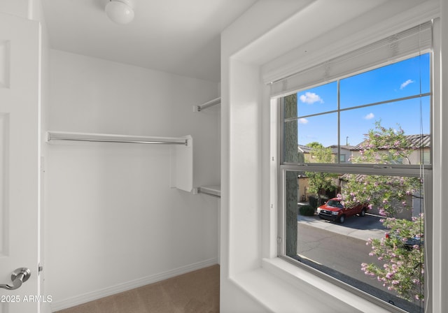 spacious closet featuring carpet