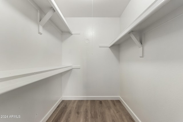 walk in closet with dark hardwood / wood-style flooring