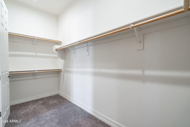 spacious closet featuring carpet floors