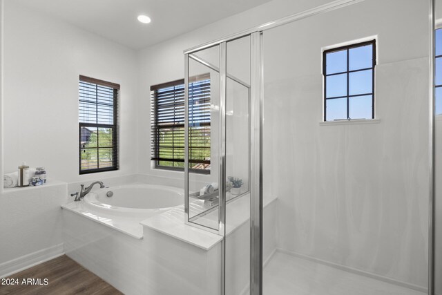 bathroom with wood-type flooring and plus walk in shower