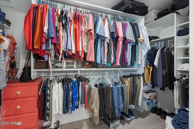 spacious closet featuring hardwood / wood-style floors