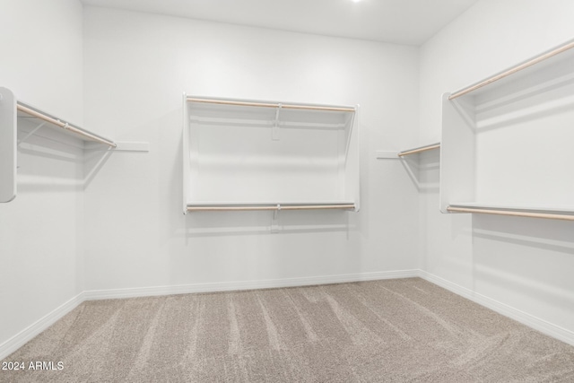 spacious closet with carpet flooring