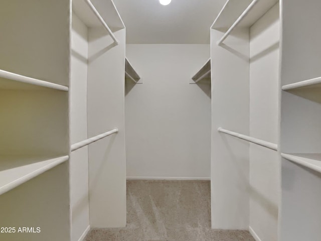 16635 N Cave Creek Rd Unit 232, Phoenix, AZ 85032 - spacious closet featuring carpet floors