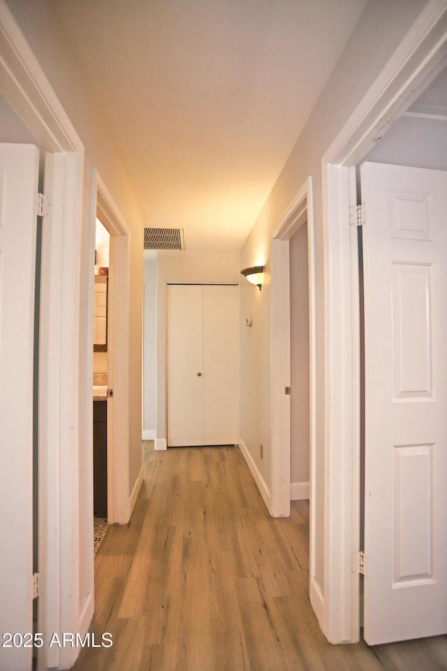 5941 W Venus Way, Chandler, AZ 85226 - hallway with wood finished floors and baseboards