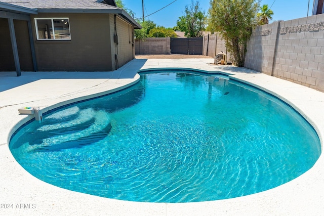 view of pool with a patio