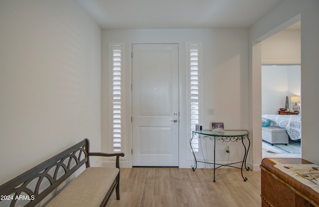 entrance foyer with light hardwood / wood-style floors and a wealth of natural light