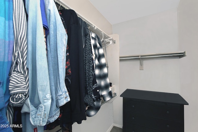 view of spacious closet