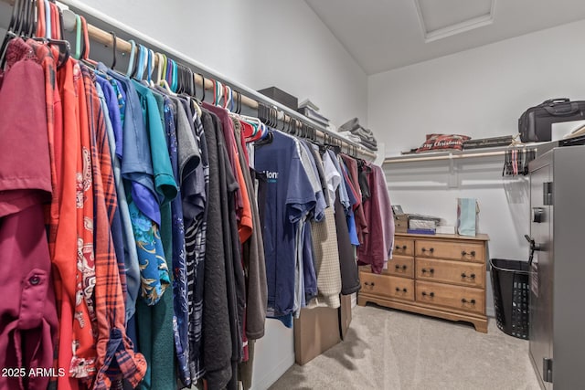 4514 W Hazel Ln, San Tan Valley, AZ 85144 - spacious closet with attic access and carpet flooring