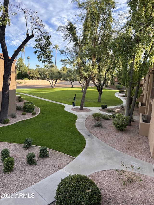 view of community featuring a yard