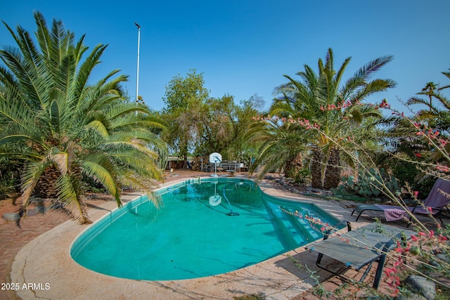 view of swimming pool