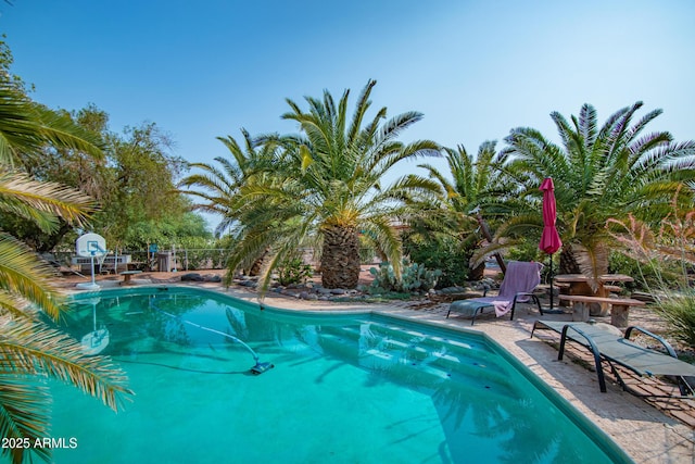 view of swimming pool