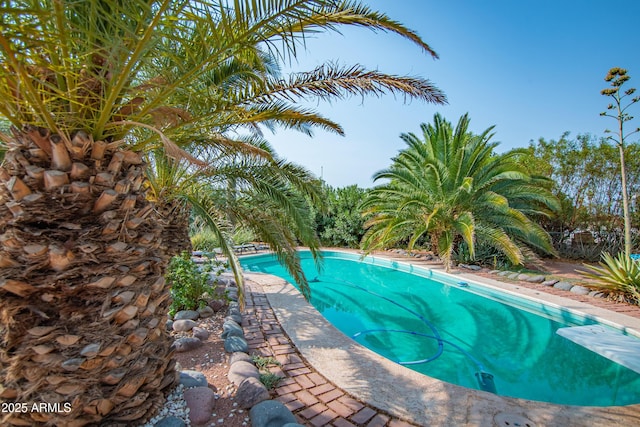 view of swimming pool featuring a diving board