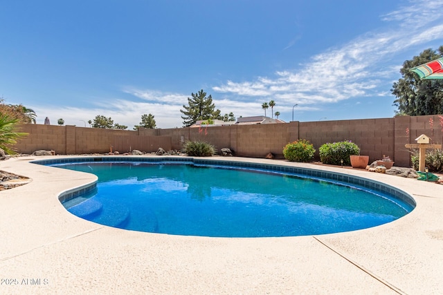 view of swimming pool with a fenced in pool and a fenced backyard