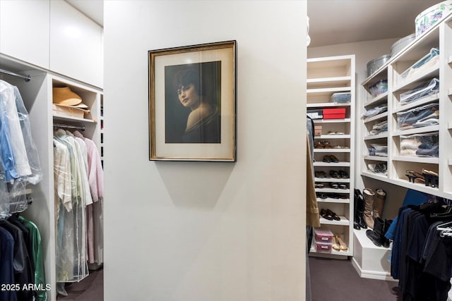 84 Biltmore Est, Phoenix, AZ 85016 - walk in closet with carpet