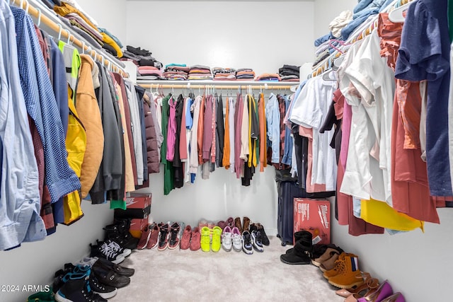 spacious closet featuring carpet