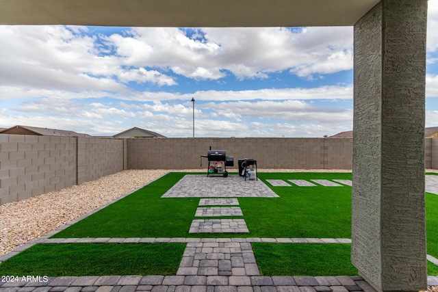 view of yard with a patio area and a fenced backyard