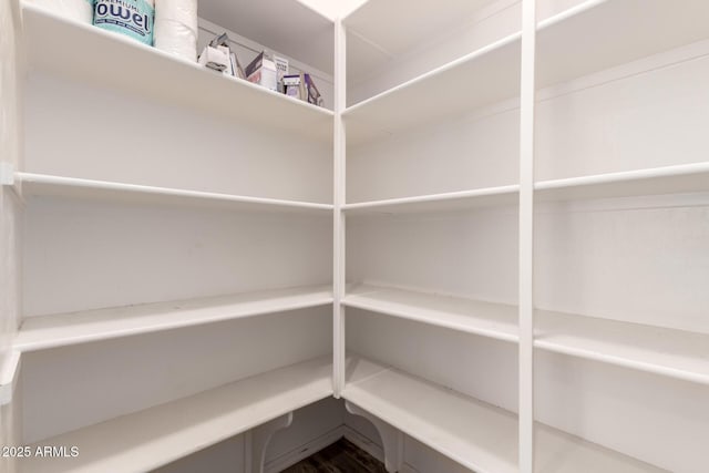 26860 N 102nd Ln, Peoria, AZ 85383 - view of pantry